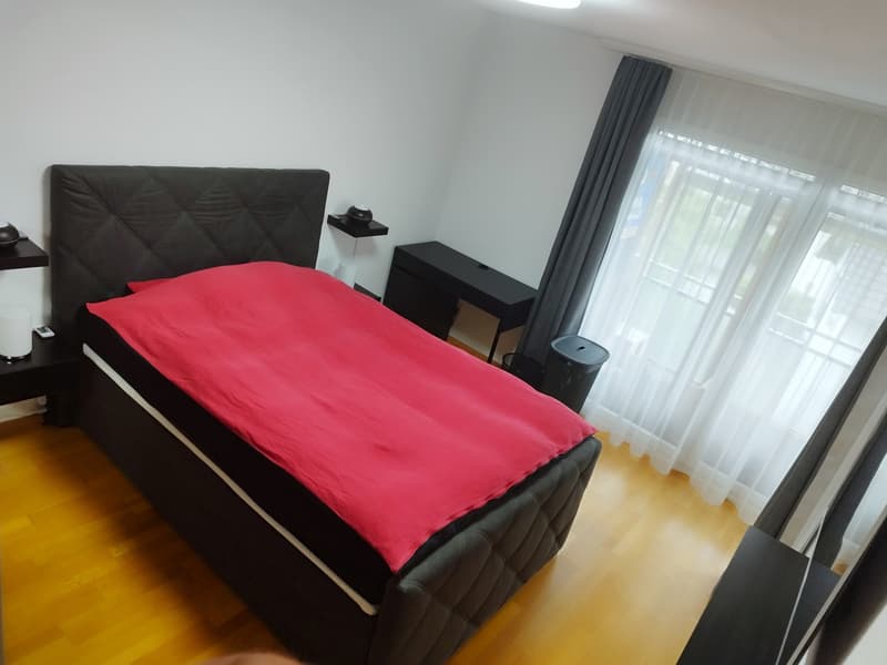 Modern 4.5-room apartment (2-person shared apartment) with barbecue area and bocce court; 10 minutes from Uster train station and city center (1)