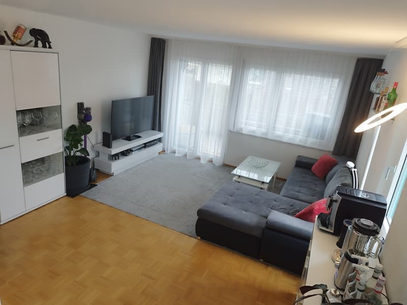 Modern 4.5-room apartment (2-person shared apartment) with barbecue area and bocce court; 10 minutes from Uster train station and city center (7)
