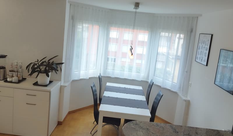 Modern 4.5-room apartment (2-person shared apartment) with barbecue area and bocce court; 10 minutes from Uster train station and city center (8)