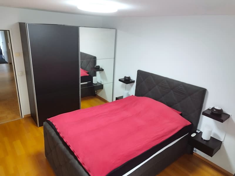 Modern 4.5-room apartment (2-person shared apartment) with barbecue area and bocce court; 10 minutes from Uster train station and city center (2)