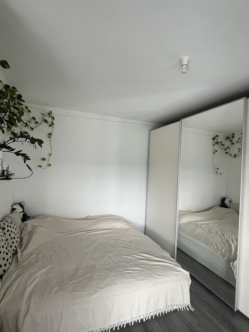 Appartement ensoleillé avec grande terrasse dans le voisinage immédiat de Limmat (5)