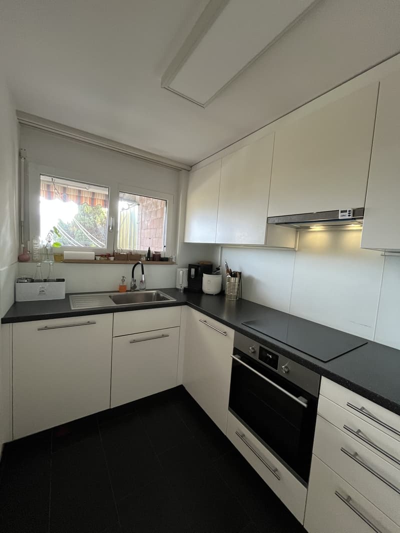 Appartement ensoleillé avec grande terrasse dans le voisinage immédiat de Limmat (6)