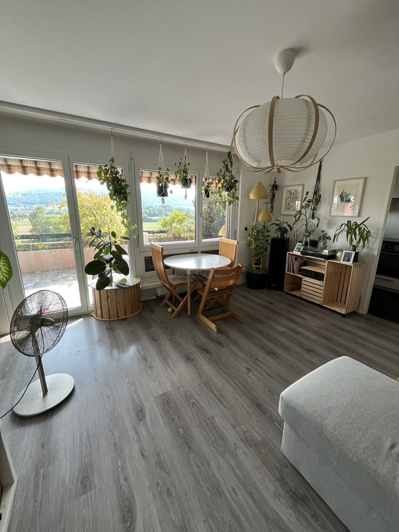 Appartement ensoleillé avec grande terrasse dans le voisinage immédiat de Limmat (3)