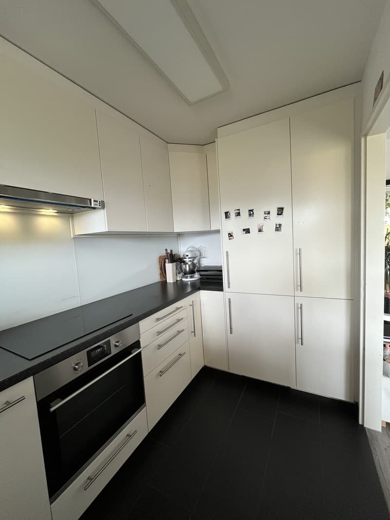 Appartement ensoleillé avec grande terrasse dans le voisinage immédiat de Limmat (7)