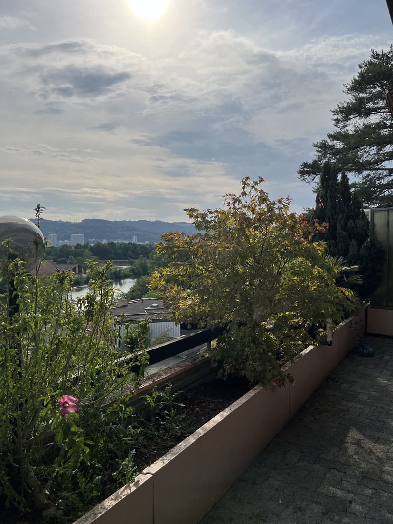 Appartement ensoleillé avec grande terrasse dans le voisinage immédiat de Limmat (8)