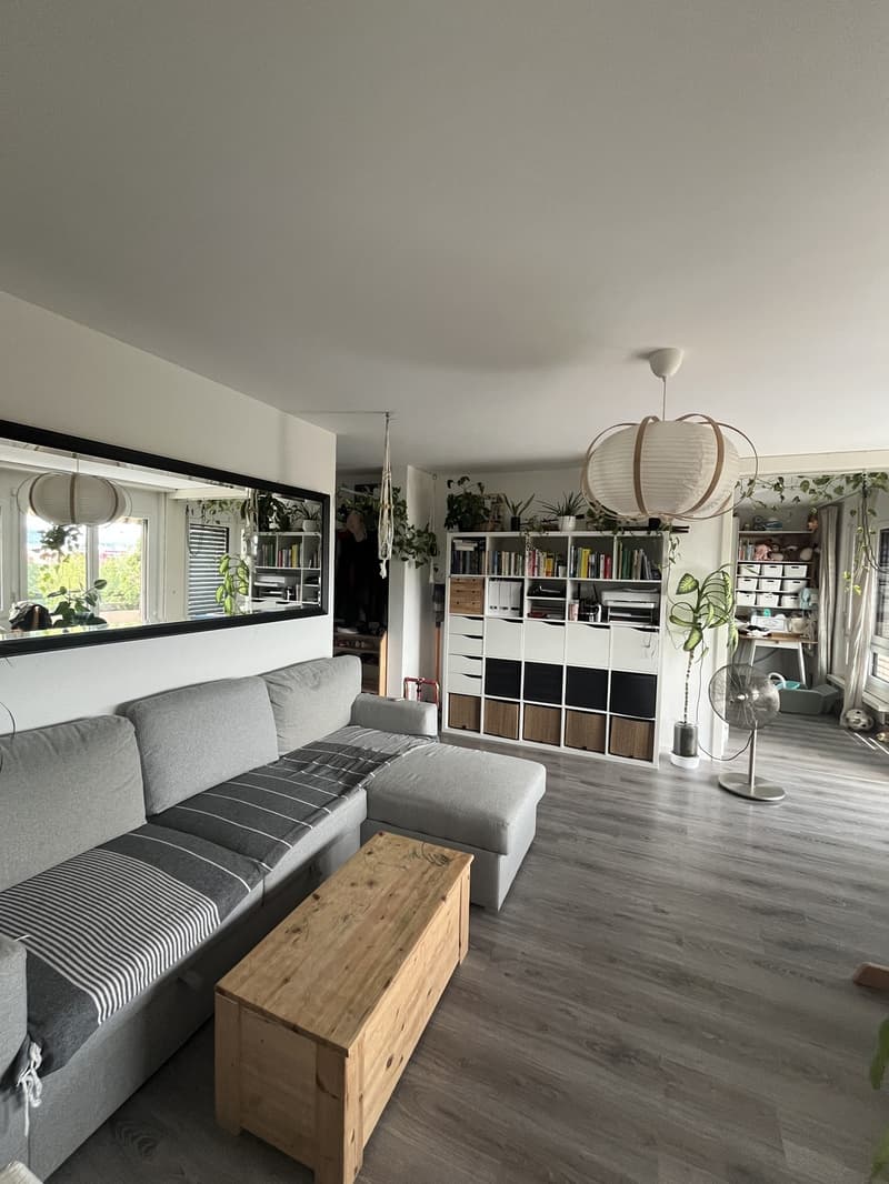 Appartement ensoleillé avec grande terrasse dans le voisinage immédiat de Limmat (1)