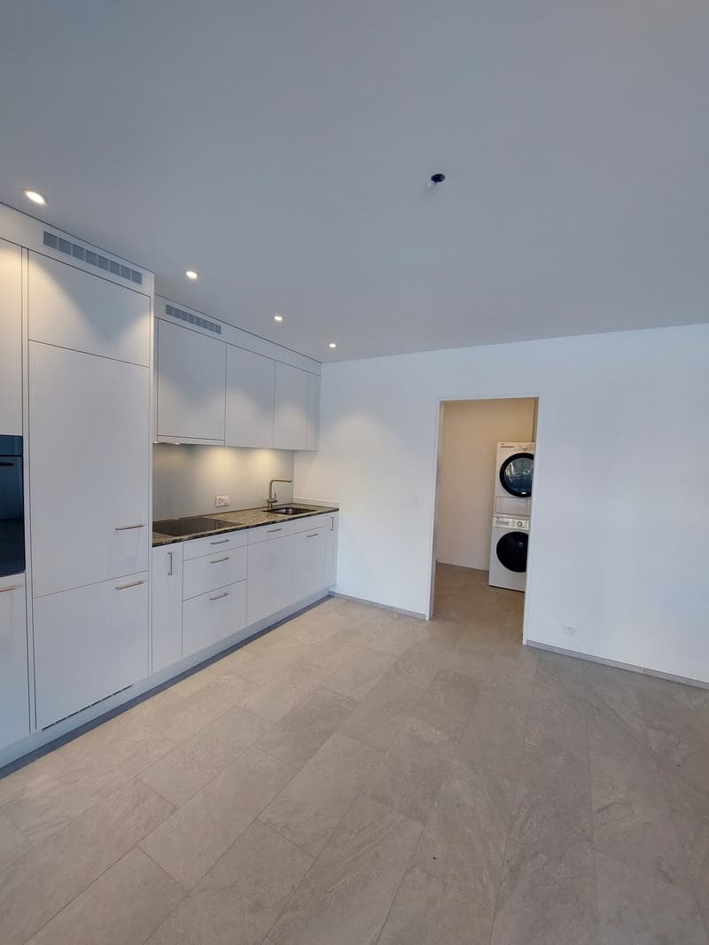 Appartamento di 2½ locali con grande terrazza (8)