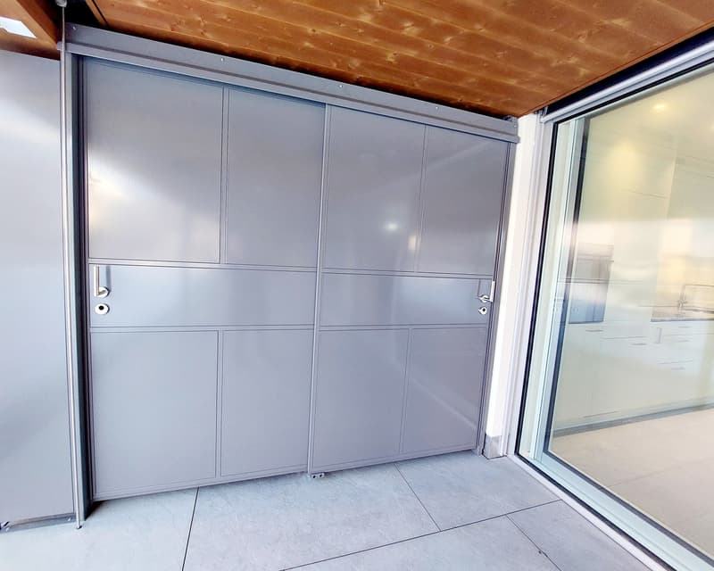 Appartamento di 2½ locali con grande terrazza (12)