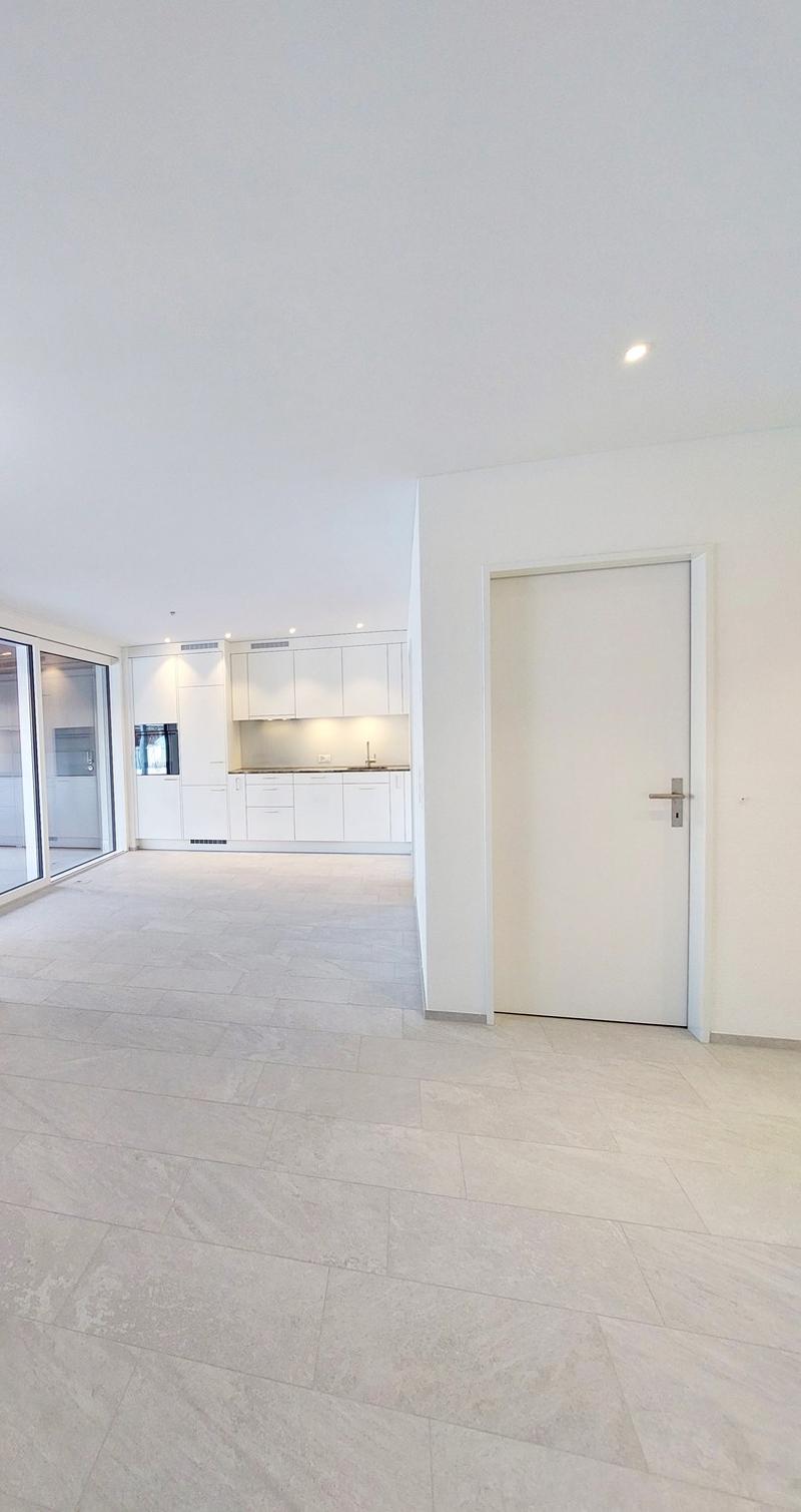 Appartamento di 2½ locali con grande terrazza (1)