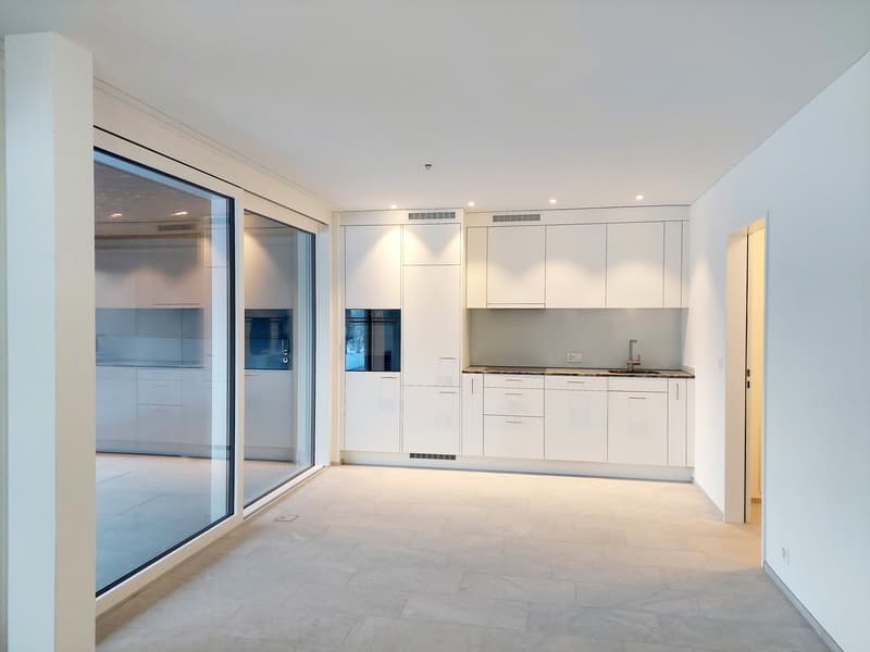 Appartamento di 2½ locali con grande terrazza (3)