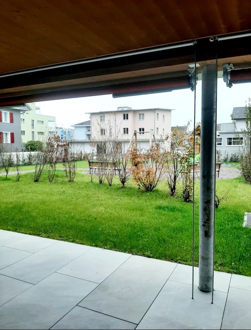 Appartamento di 2½ locali con grande terrazza (9)