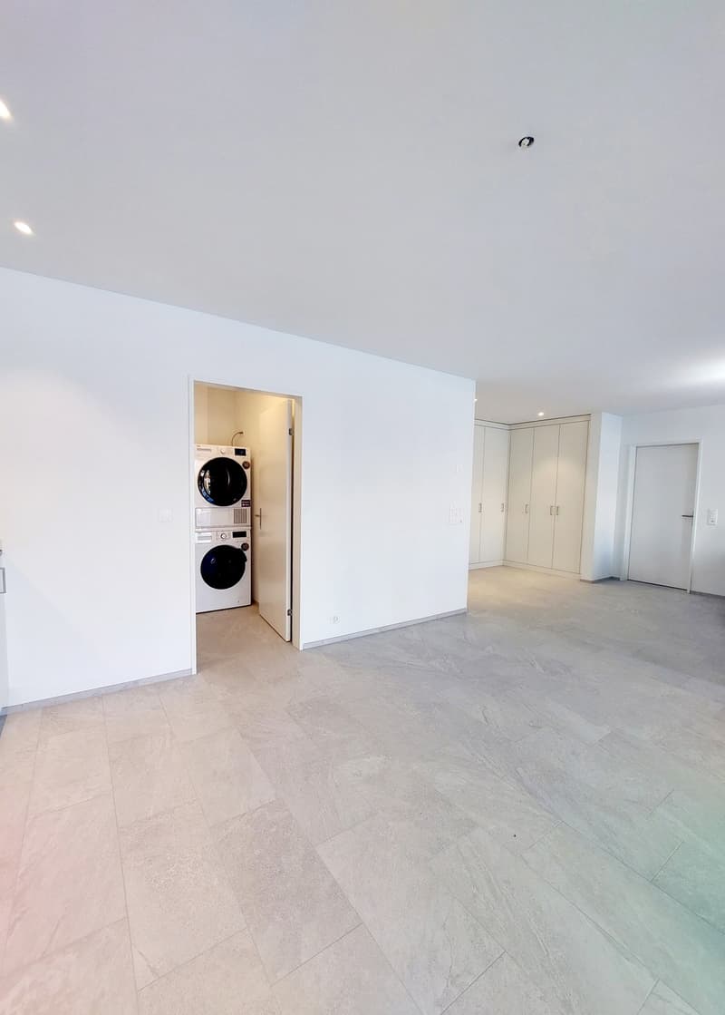 Appartamento di 2½ locali con grande terrazza (4)