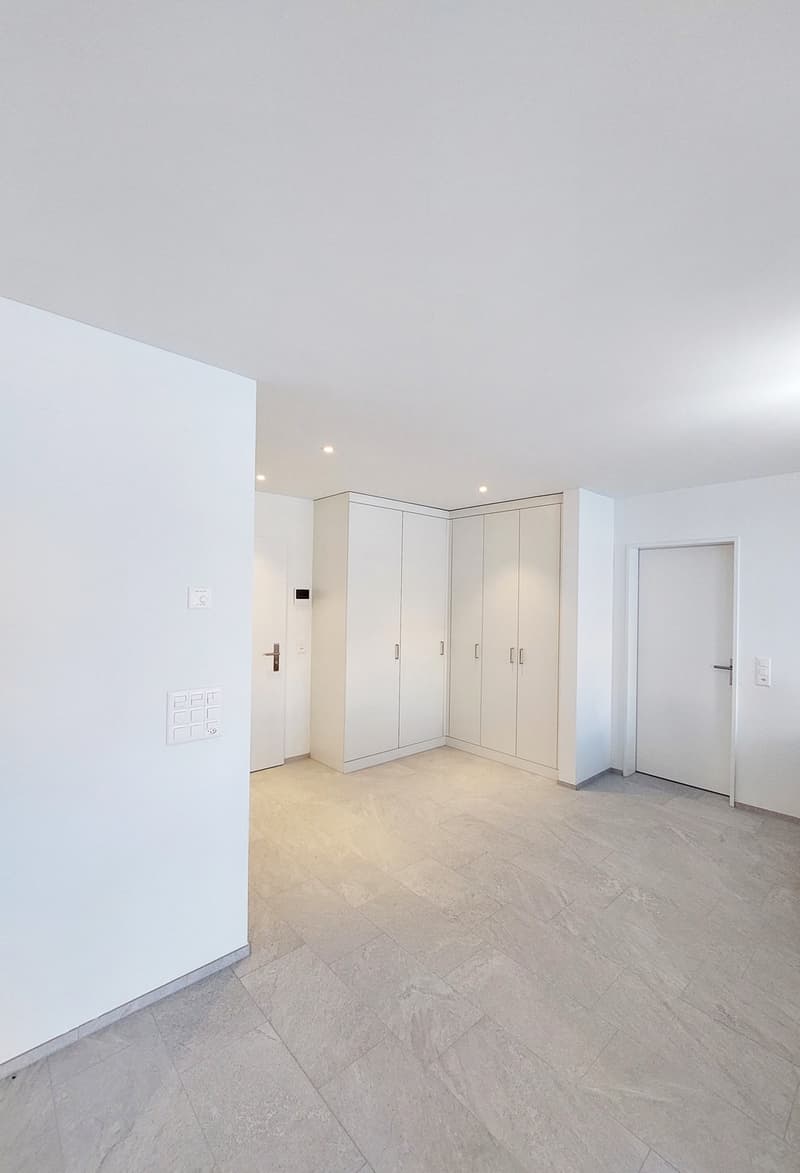 Appartamento di 2½ locali con grande terrazza (5)