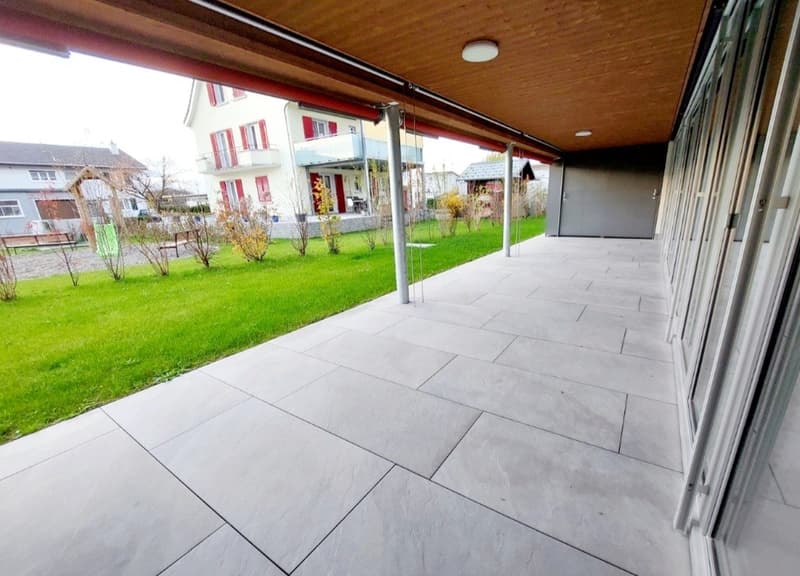 Appartamento di 2½ locali con grande terrazza (10)