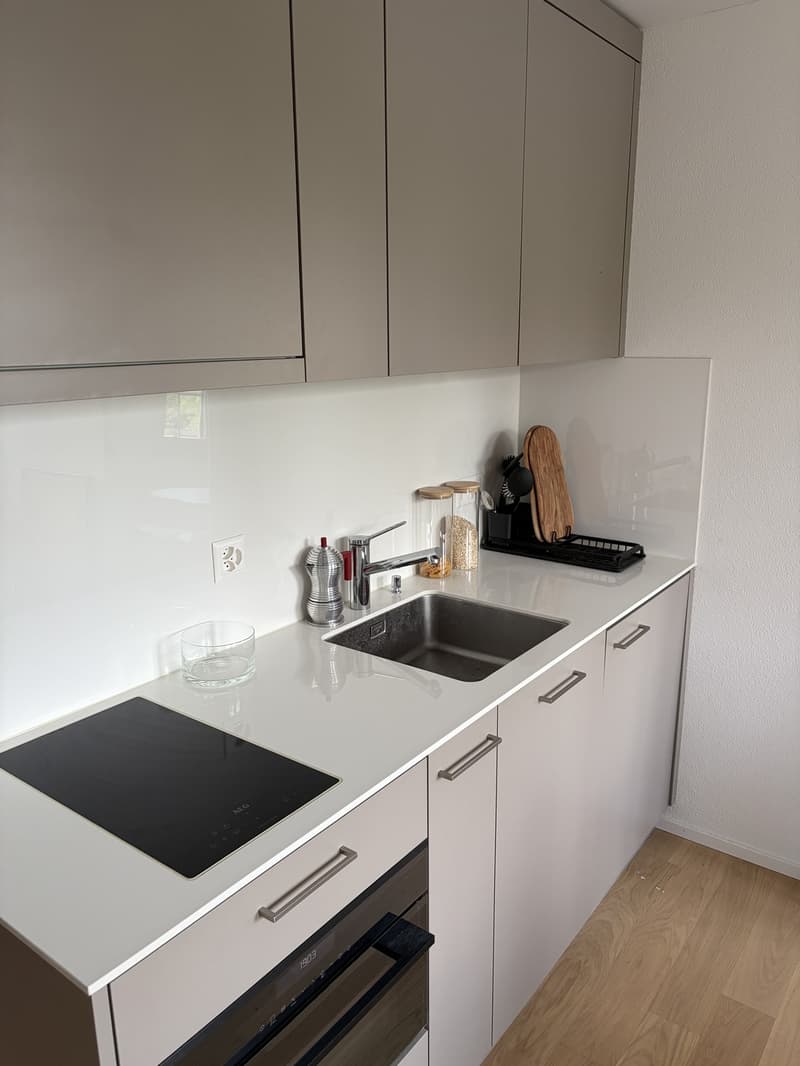 Appartement d'une pièce à Dübendorf (3)