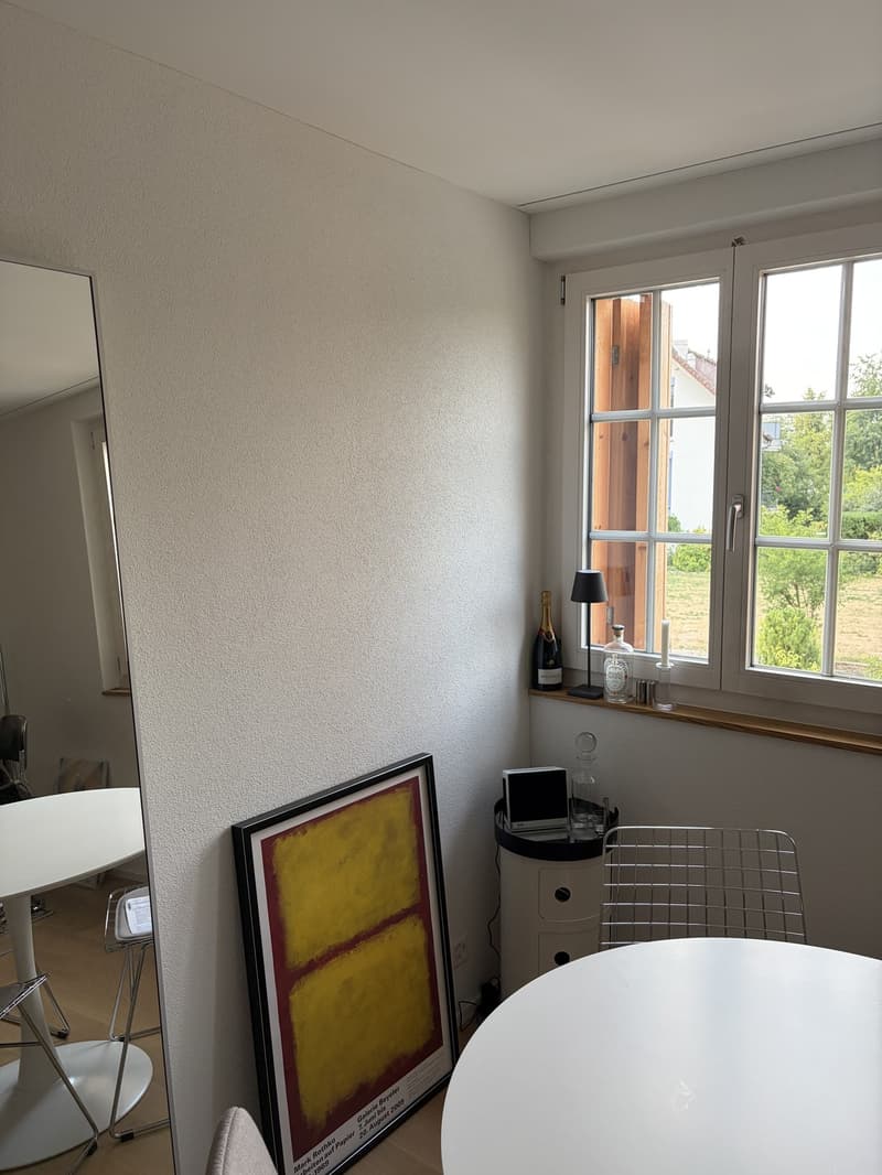 Appartement d'une pièce à Dübendorf (6)