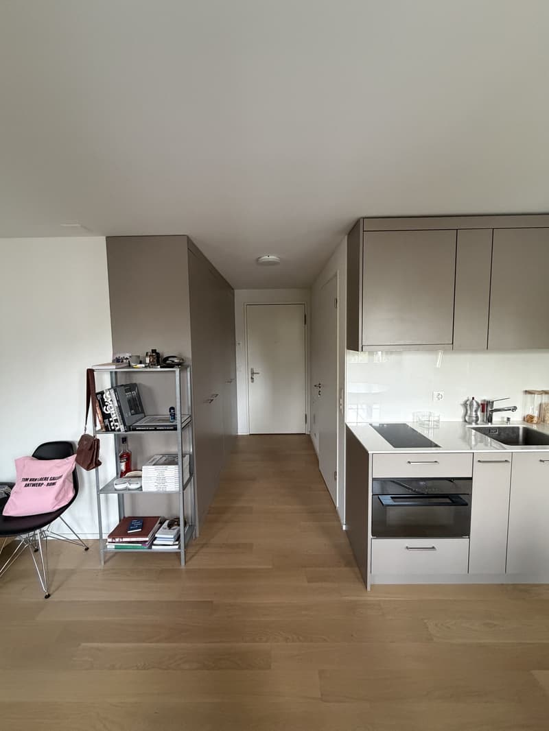 Appartement d'une pièce à Dübendorf (4)