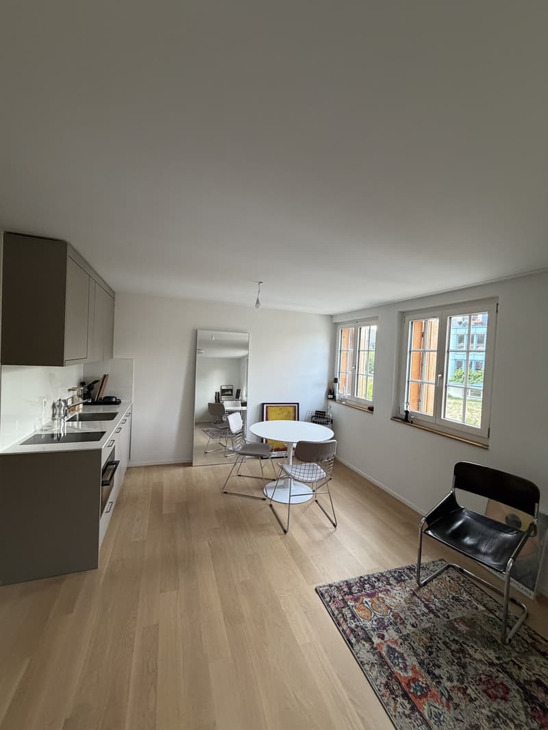 Appartement d'une pièce à Dübendorf (1)