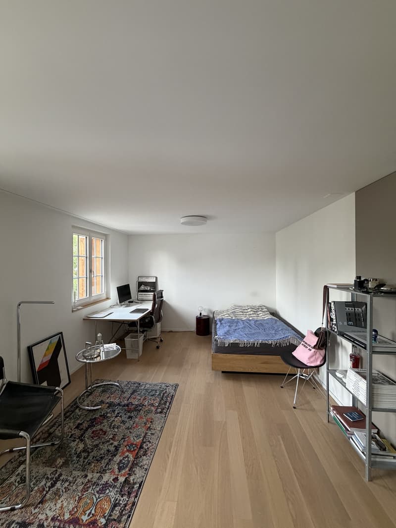 Appartement d'une pièce à Dübendorf (2)