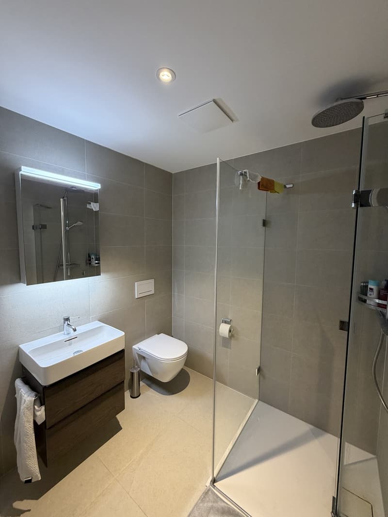 Appartement d'une pièce à Dübendorf (5)