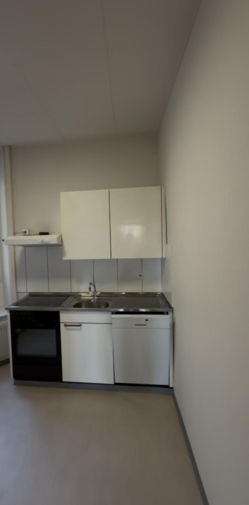 3-Bedroom Apartment in St. Gallen (7)