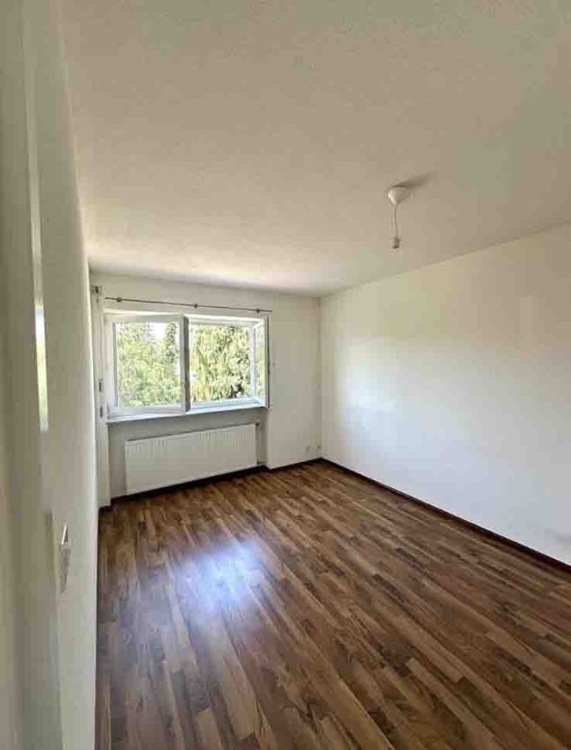 Nachmieterschaft gesucht für 3-ZImmer-Wohnung in Allschwil (6)