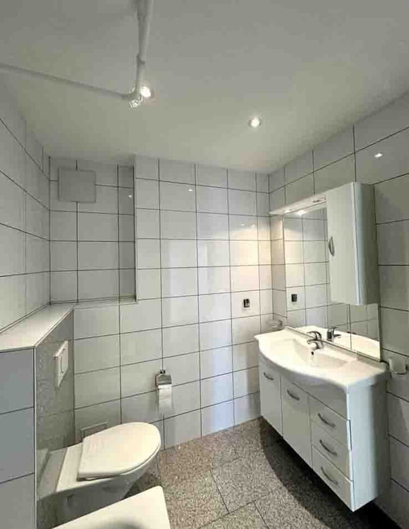 Nachmieterschaft gesucht für 3-ZImmer-Wohnung in Allschwil (7)