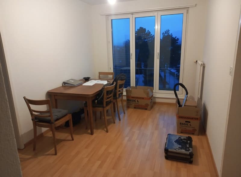 Appartamento 2,5 locali 2° piano (3)