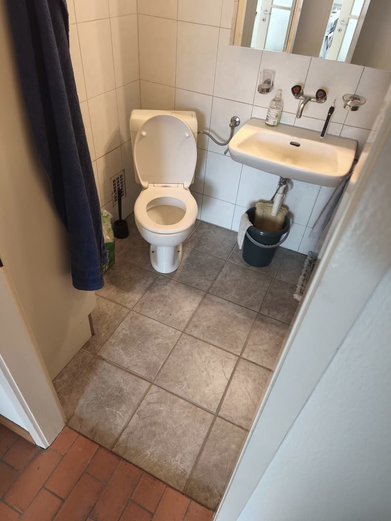 Appartamento 2,5 locali 2° piano (6)