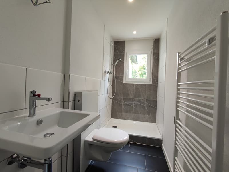 4.5 Zimmerwohnung (5)