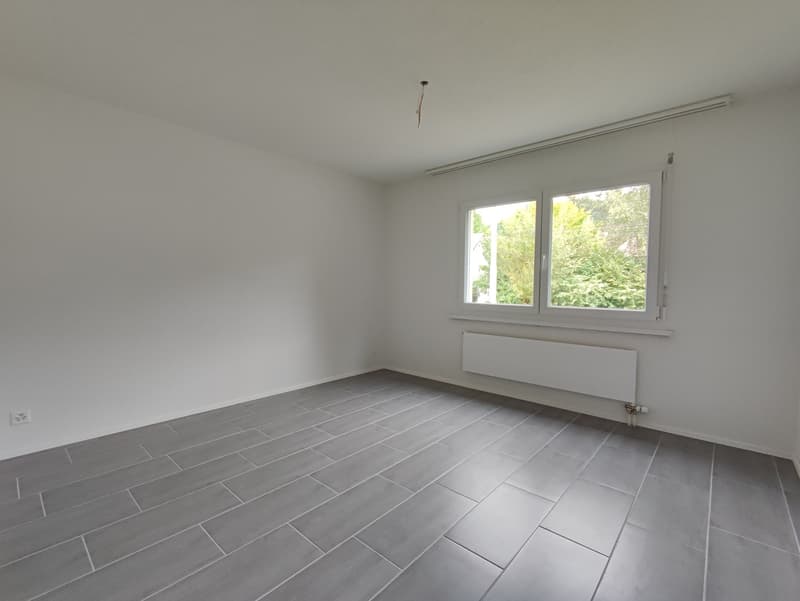 4.5 Zimmerwohnung (8)