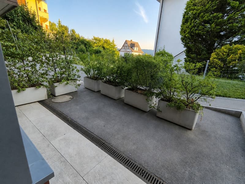 Studio moderne de 1,5 pièces avec balcon à Erlenbach ZH (4)