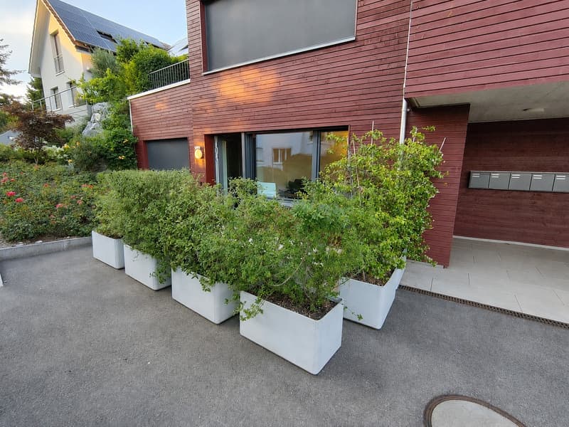Studio moderne de 1,5 pièces avec balcon à Erlenbach ZH (2)