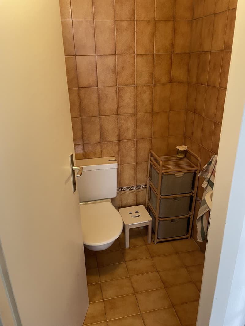 Furnished room for rent August (Nyon) (5)