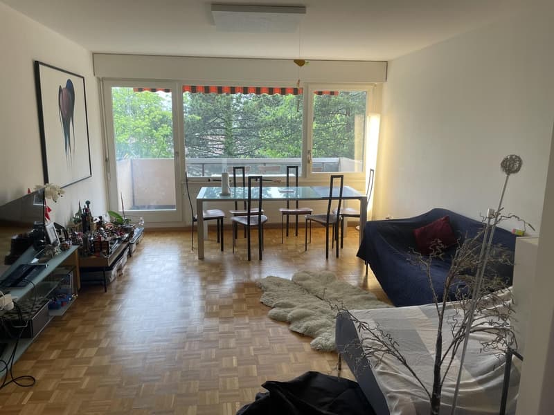 Furnished room for rent August (Nyon) (4)