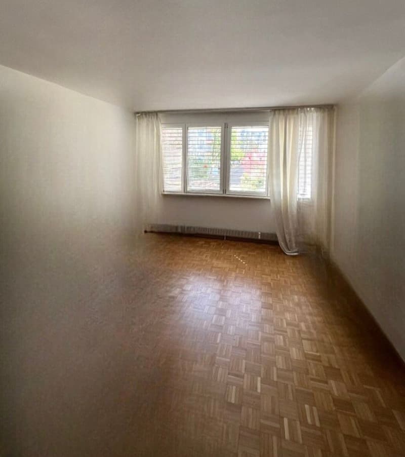 2 Bedroom Apartment, 4056 Basel (1)