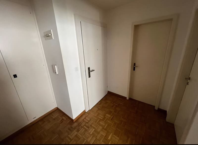 2 Bedroom Apartment, 4056 Basel (6)