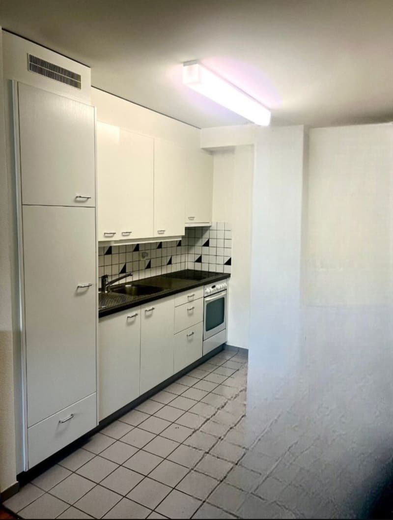 2 Bedroom Apartment, 4056 Basel (5)