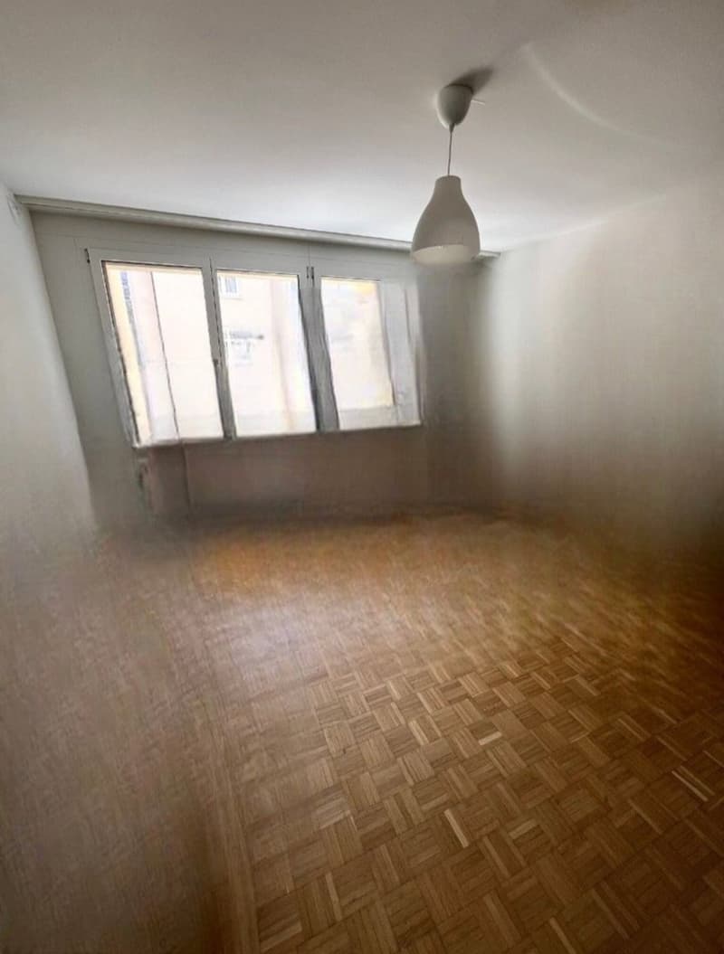 2 Bedroom Apartment, 4056 Basel (4)