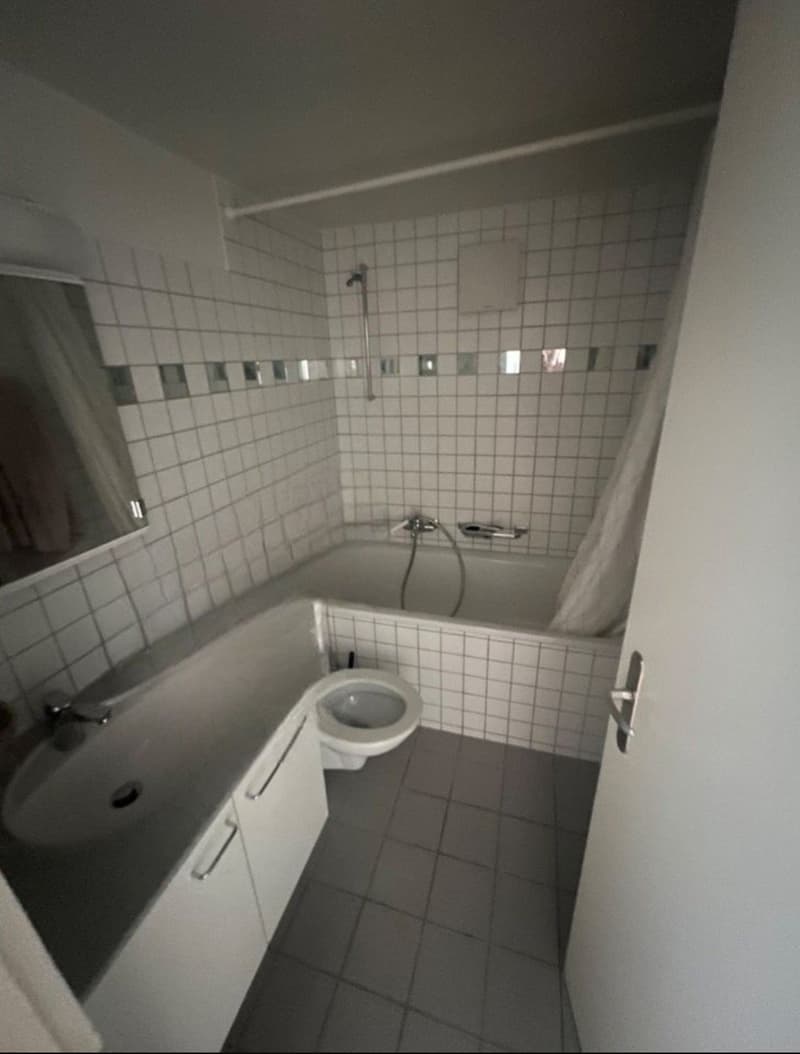 2 Bedroom Apartment, 4056 Basel (3)
