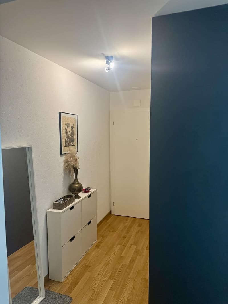 Eingang mit Einbauschrank