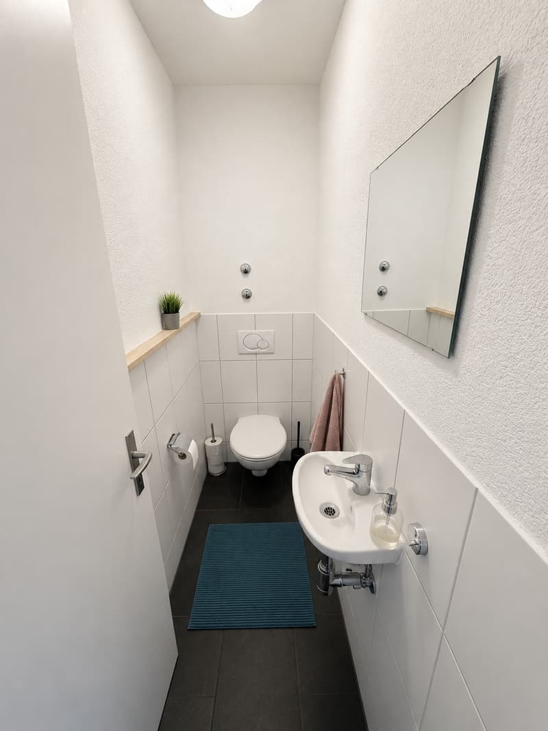 Helle und grosszügige 4.5-Zimmer-Wohnung an zentraler, ruhiger Lage in Uster (6)