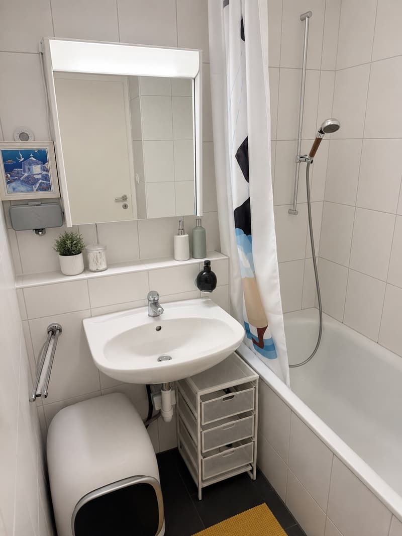 Helle und grosszügige 4.5-Zimmer-Wohnung an zentraler, ruhiger Lage in Uster (7)
