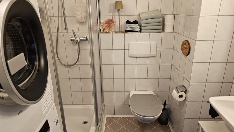 Appartamento mansardato con molta pace e vista (6)