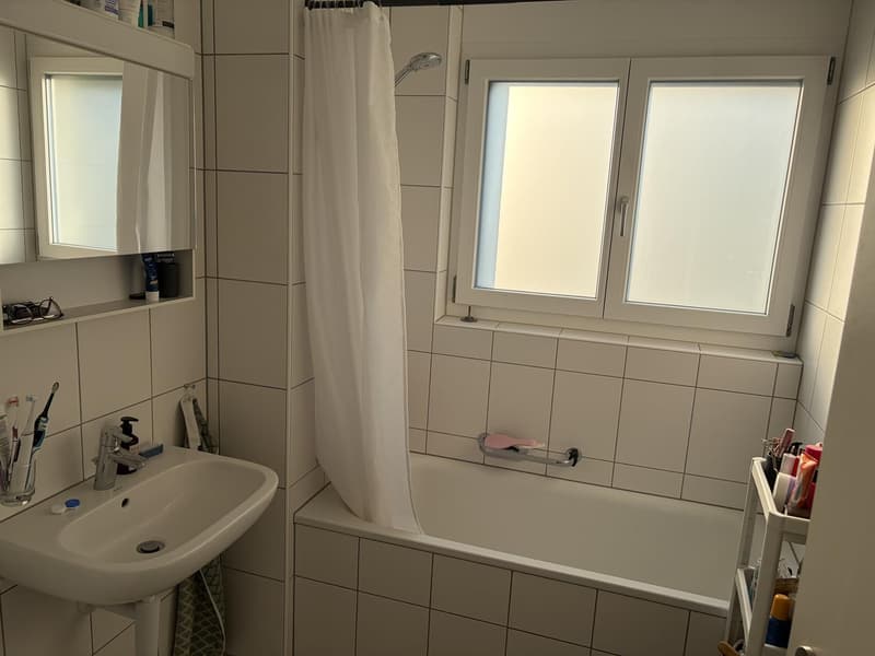 Helle 3.5 Zimmer in ruhiger Lage (5)