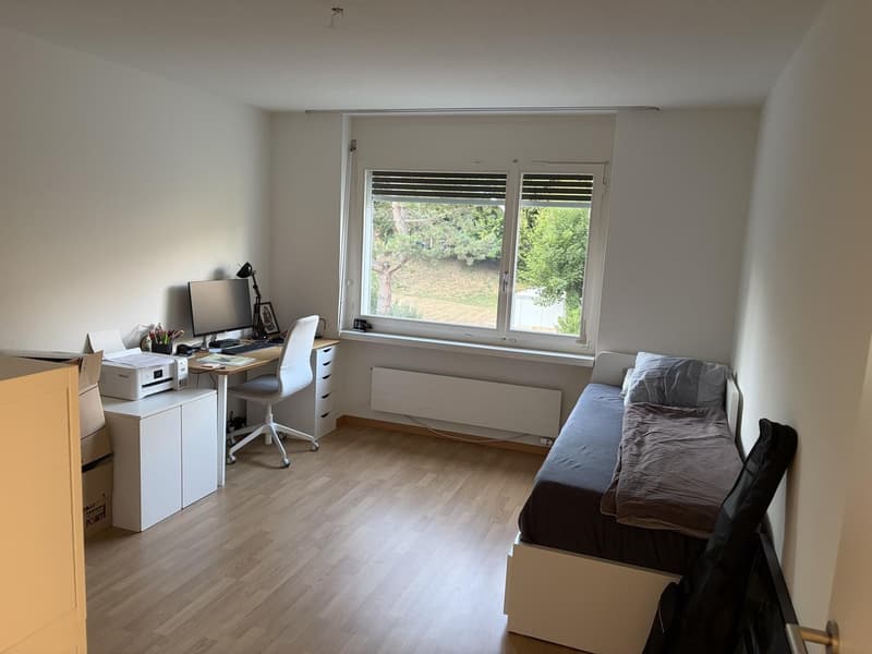 Helle 3.5 Zimmer in ruhiger Lage (6)