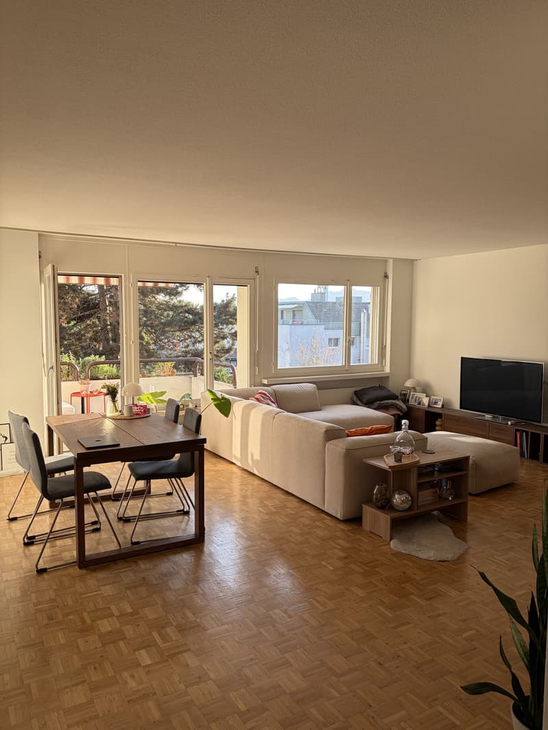 Helle 3.5 Zimmer in ruhiger Lage (1)