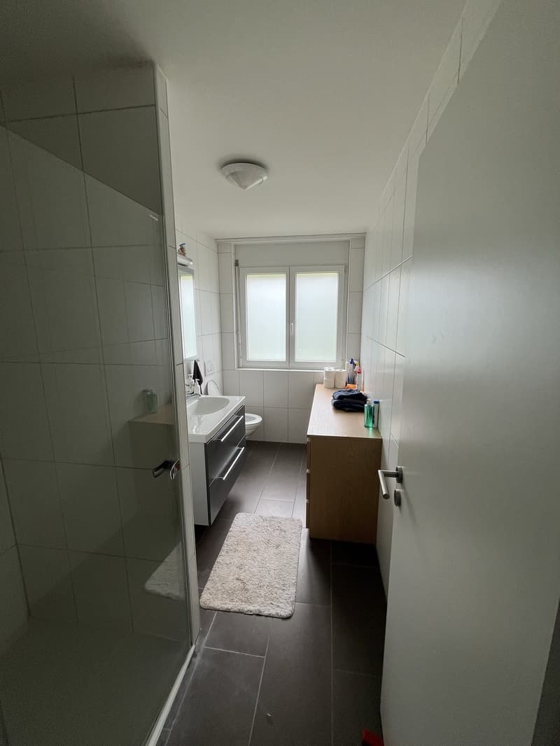 Charming 4.5-room apartment with large garden in Herznach, all inclusive! (8)