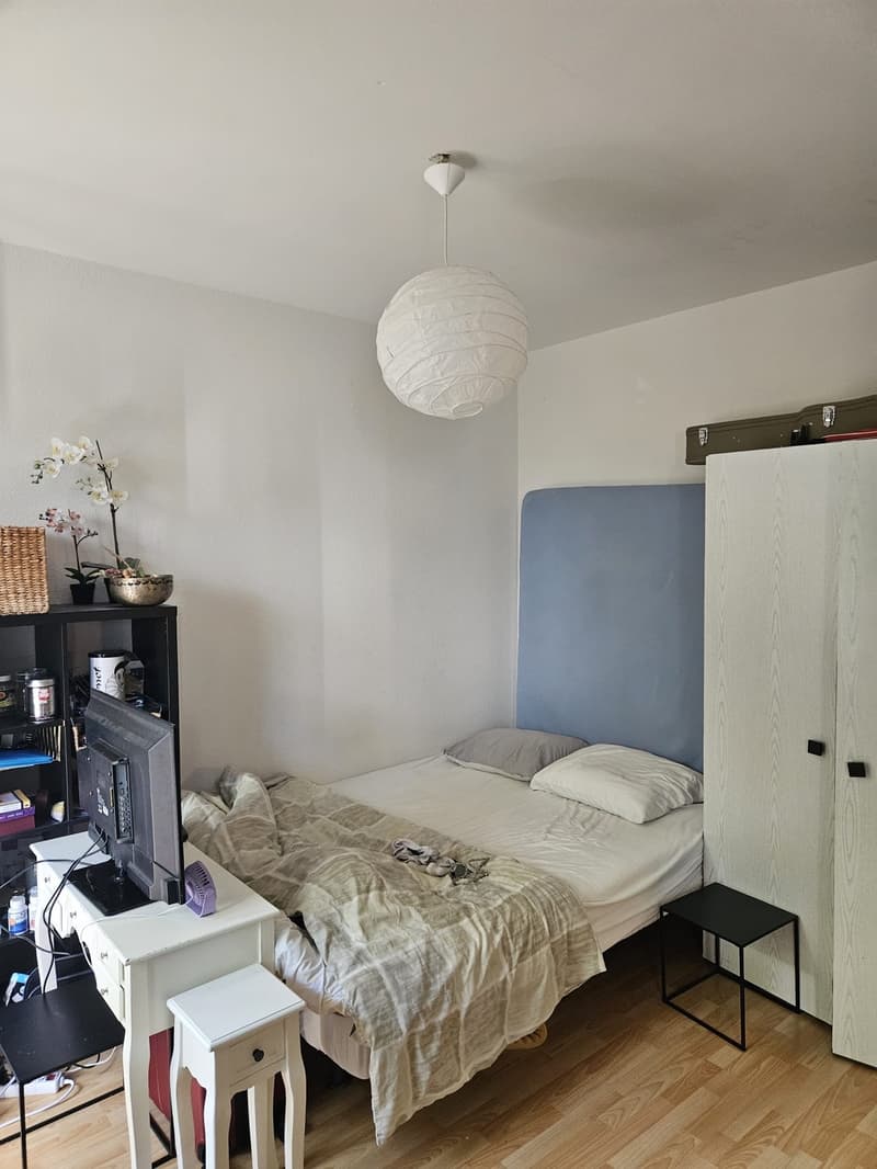 Appartamento Monolocale (3)