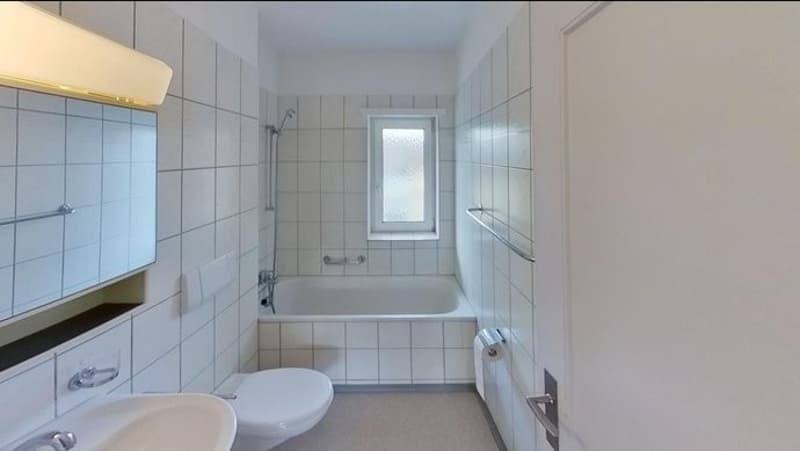 4-Bedroom Apartment for Rent in Seebach (4)